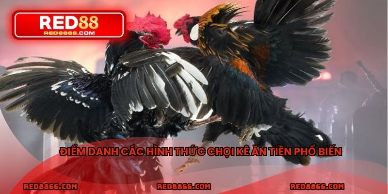 Điểm danh các hình thức chọi kê ăn tiền phổ biến