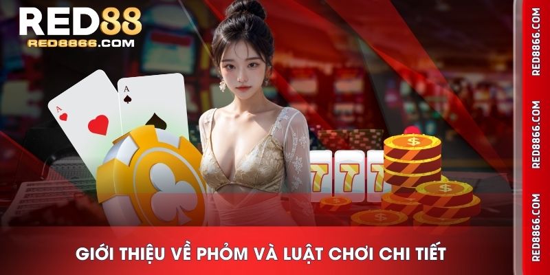 Giới thiệu về Phỏm và luật chơi chi tiết