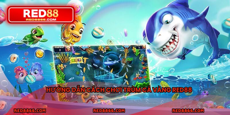 Hướng dẫn cách chơi trùm cá vàng RED88