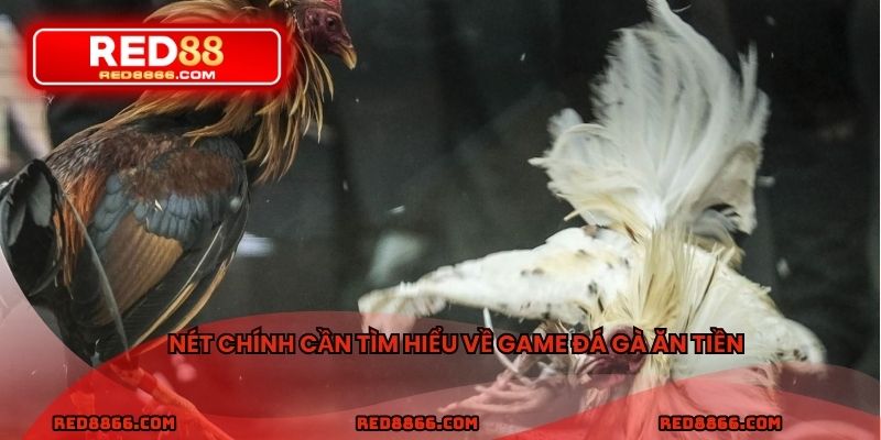 Nét chính cần tìm hiểu về game đá gà ăn tiền