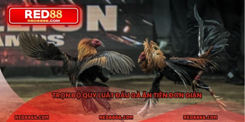 Trọn bộ quy luật đấu gà ăn tiền đơn giản